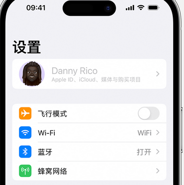 红原appleID维修服务iPhone设置中Apple ID显示为灰色无法使用 