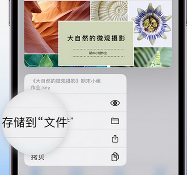 红原apple维修中心分享iPhone文件应用中存储和找到下载文件