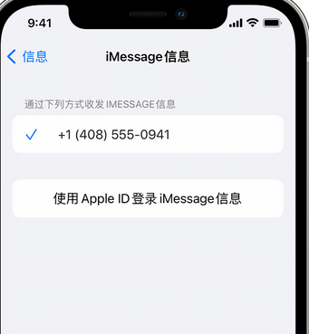 红原apple维修iPhone上无法正常发送iMessage信息 