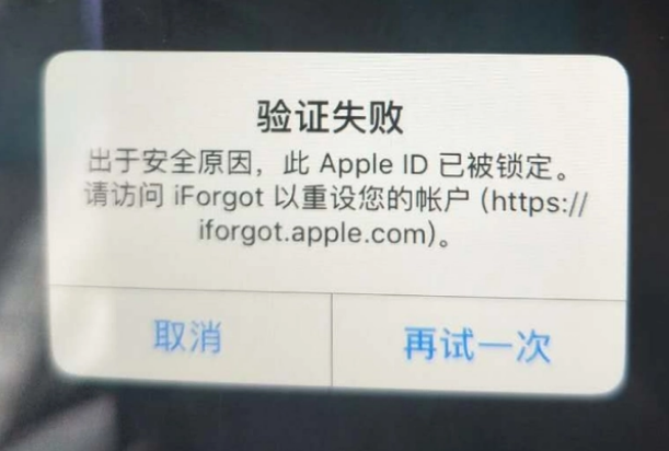 红原iPhone维修分享iPhone上正常登录或使用AppleID怎么办 