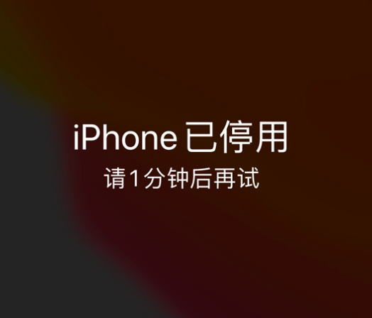 红原苹果手机维修分享:iPhone 显示“不可用”或“已停用”怎么办？还能保留数据吗？ 