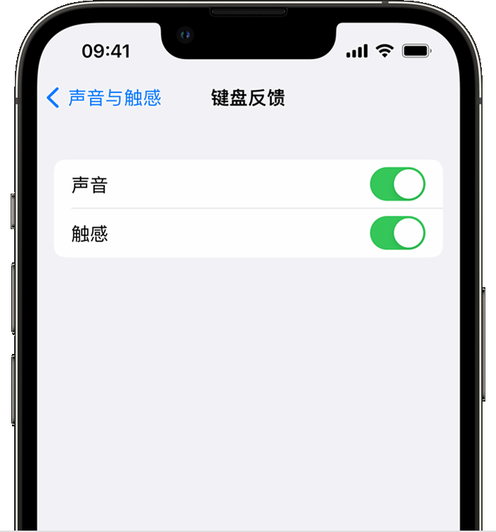 红原苹果14维修店分享如何在 iPhone 14 机型中使用触感键盘 