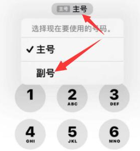 红原苹果14维修店分享iPhone 14 Pro Max使用副卡打电话的方法 