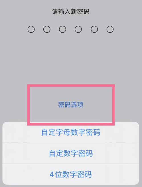 红原苹果14维修分享iPhone 14plus设置密码的方法 