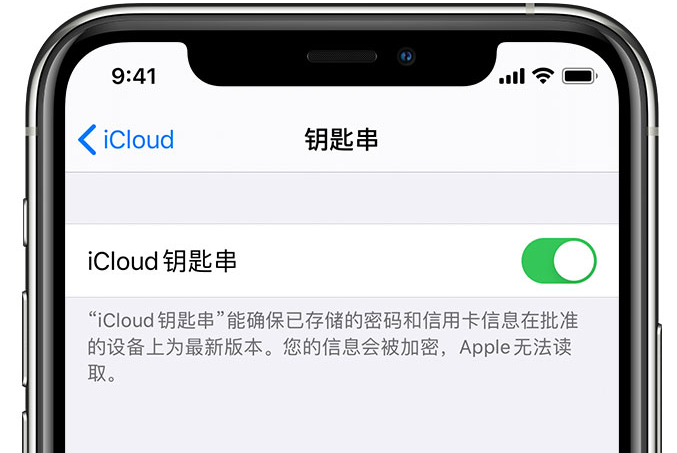 红原苹果手机维修分享在 iPhone 上开启 iCloud 钥匙串之后会储存哪些信息 