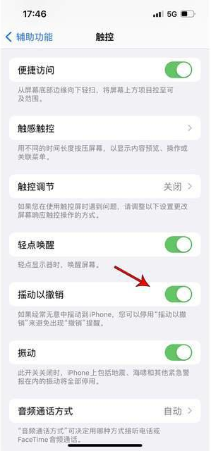 红原苹果手机维修分享iPhone手机如何设置摇一摇删除文字 